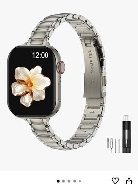 Stainless Steel Watch Band with Link Remover - Silver